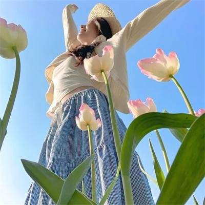 歌喉赞 高清封面